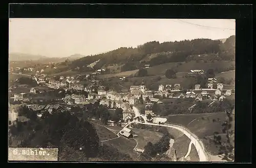 AK Bühler, Panoramablick aus der Vogelschau