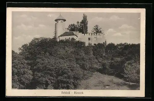 AK Birseck, Schloss