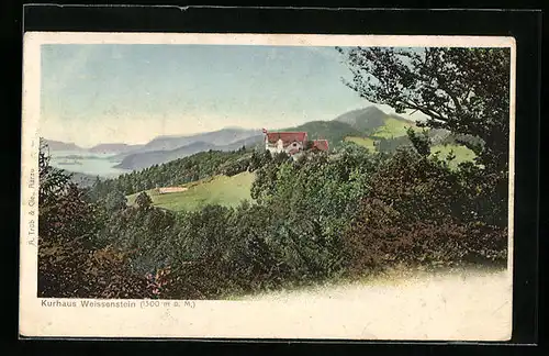 AK Weissenstein, Blick vom Waldrand zum Kurhaus