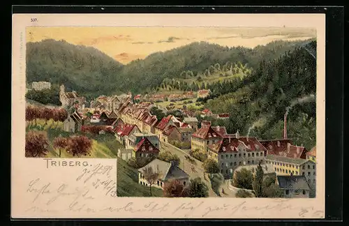 Lithographie Triberg, Ortsansicht mit Umgebung aus der Vogelschau