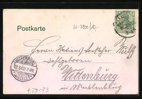 Relief-AK Ulm, Teilansicht, von Neu-Ulm gesehen