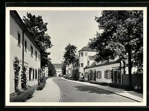 AK Berlin, Rapsstrasse in der Siedlung Siemensstadt