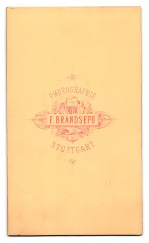 Fotografie F. Brandseph, Stuttgart, Mann im dunklen Anzug mit Fliege und Henri Quartre Bart