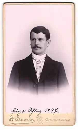 Fotografie O. Zeumer, Crimmitschau, junger Mann Hugo Uhlig mit gemusterter Krawatte, 1897