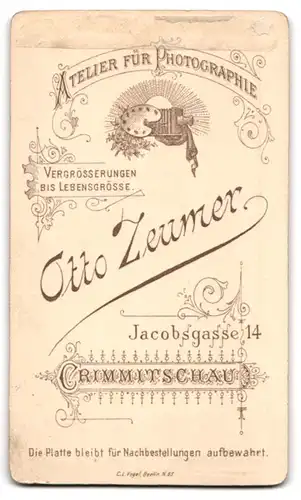 Fotografie O. Zeumer, Crimmitschau, junger Mann Hugo Uhlig mit gemusterter Krawatte, 1897