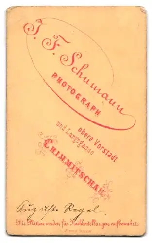 Fotografie J. F. Schumann, Crimmitschau, Frau Auguste Regel im Pünktchenkleid