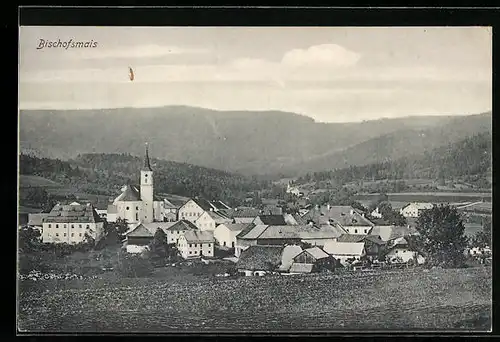 AK Bischofsmais, Ortsansicht aus der Vogelschau