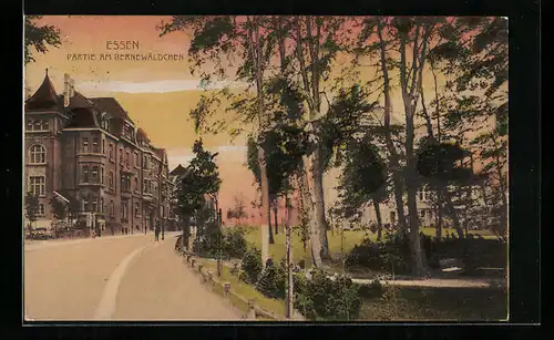 AK Essen, Partie am Bernewäldchen