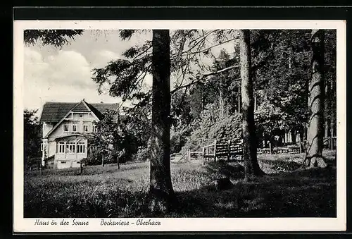 AK Bockswiese /Oberharz, Haus in der Sonne