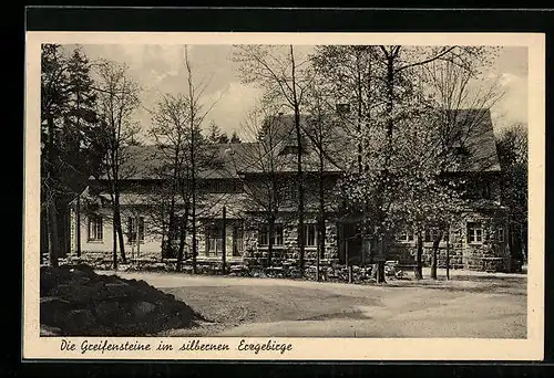 AK Ehrenfriedersdorf /Erzgebirge, Berggasthaus Greifenstein
