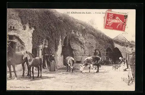 AK Château-du-Loir, Ortspartie mit Kühen