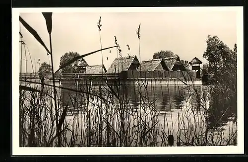 AK Unteruhldingen /Bodensee, Freilichtmuseum, Pfahldorf der Steinzeit