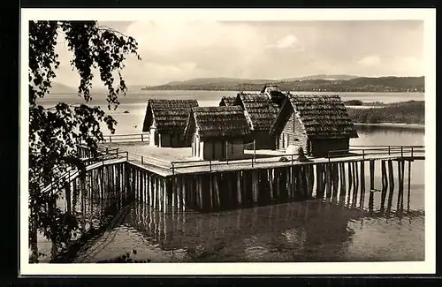 AK Unteruhldingen /Bodensee, Freilichtmuseum, Steinzeit-Pfahldorf