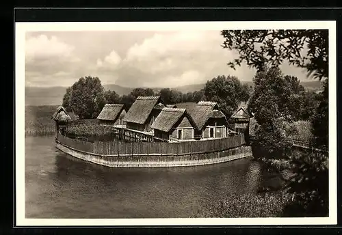 AK Unteruhldingen /Bodensee, Freilichtmuseum, Eingehegtes Steinzeit-Pfahldorf