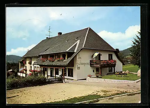 AK Häusern /Schwarzwald, Fremdenheim Im Wiesengrund