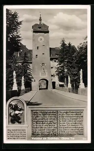 AK Waldshut am Hochrhein, Oberes Tor, Wappentier