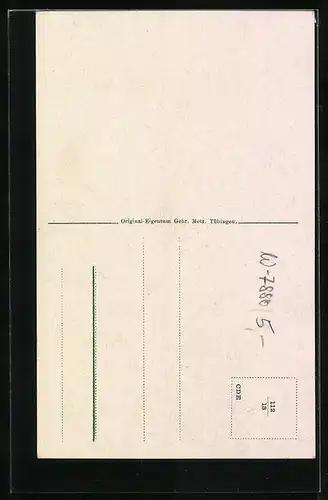 AK Säckingen a. Rh., Trompeter vor Ortskulisse