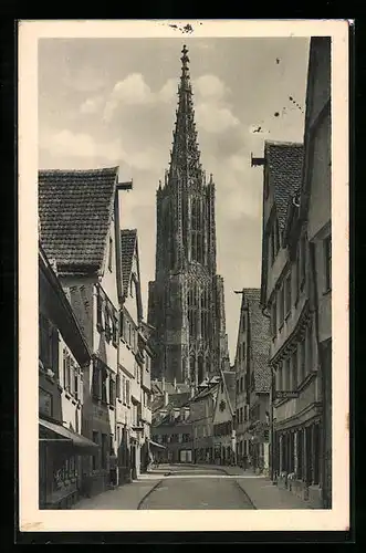 AK Ulm a. D., Strassenpartie Walfischgasse, mit Münster