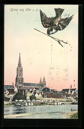 AK Ulm a. D., Panorama mit Vogel