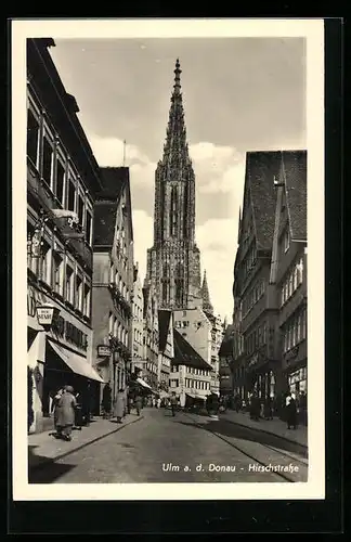 AK Ulm a. D., Hirschstrasse mit Gasthof zur Stadt und Münster