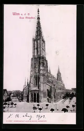 AK Ulm a. D., Ortspartie am Münster mit Allee