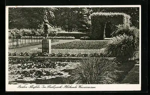 AK Berlin-Steglitz, Blühende Wasserrosen im Stadtpark