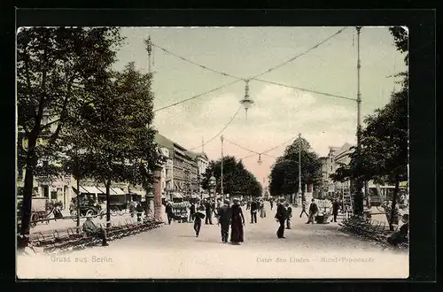 AK Berlin, Strasse Unter den Linden und Mittel-Promenade mit Passanten