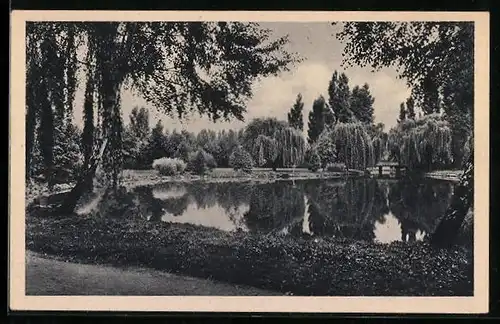 AK Berlin-Spandau, Teich im Südpark