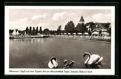 AK Berlin-Tegel, Gasthaus Strandschloss Tegel am Tegeler See mit Schwänen