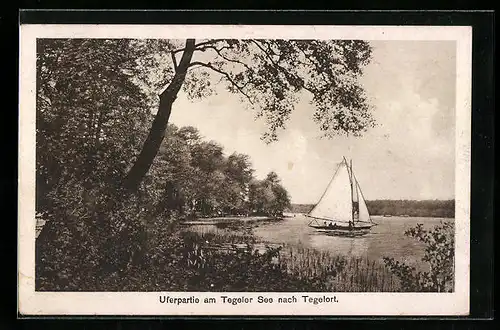 AK Berlin-Tegelort, Uferpartie am Tegeler See mit Segelboot