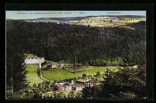 AK Brethaus im Schwarzwassertal, Ortspartie mit Restaurant und Oberpfannenstiel