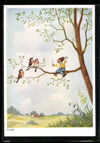 Künstler-AK H. Zahl: Zwerg und Rotkehlchenchor auf einem Baum