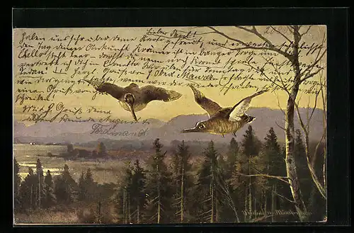 Künstler-AK M. Müller jun.: Schnepfen fliegen über einen Wald