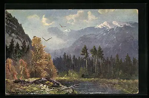 Künstler-AK M. Müller jun.: Raubvögel im Anflug über einen Waldsee