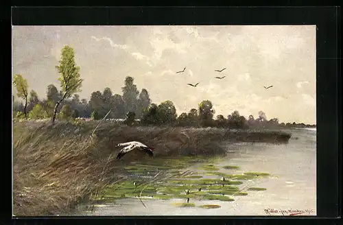 Künstler-AK M. Müller jun.: Fliegende Vögel über Wasser