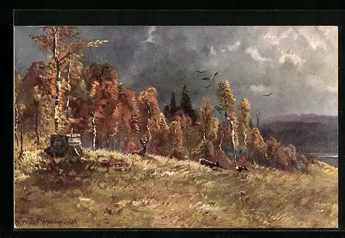 Künstler-AK M. Müller jun.: Rehe grasen in einer Lichtung