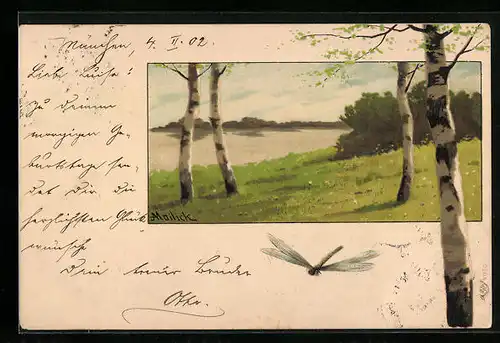 Künstler-AK Alfred Mailick: Birken am See und Libelle