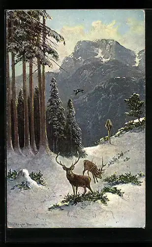 Künstler-AK M. Müller jun.: Hirsche und Auerhahn im winterlichen Wald