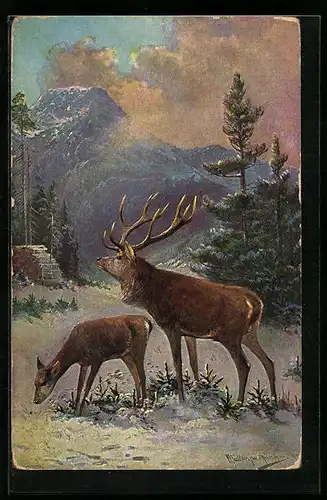 Künstler-AK M. Müller jun.: Hirschpaar auf einer Lichtung im winterlichen Wald