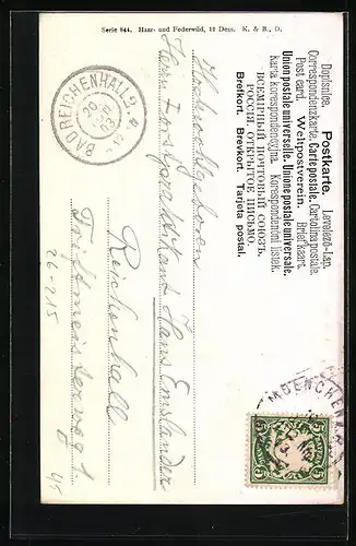 Künstler-AK M. Müller jun.: Zwei Gämsen im Hochgebirge