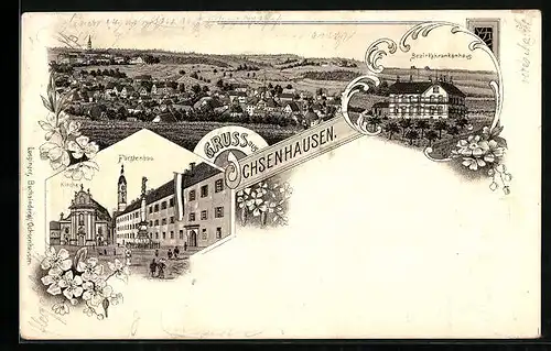 Lithographie Ochsenhausen, Fürstenbau, Bezirkskrankenhaus