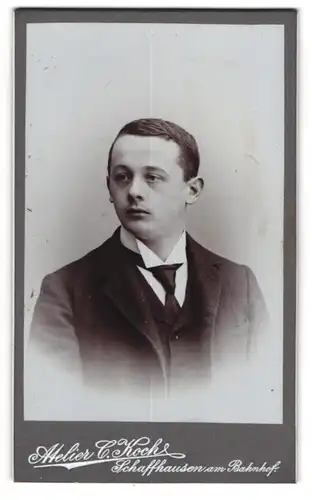 Fotografie C. Koch, Schaffhausen, Junger Mann im Anzug mit Krawatte