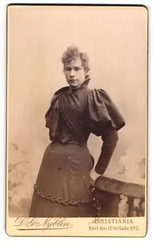 Fotografie D. G. Nyblin, Kristiania, Karl den 12 tes Gade 5, Junge Dame im modischen Kleid