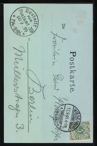 AK Wiesenburg i. M., Auffahrt zur Burg