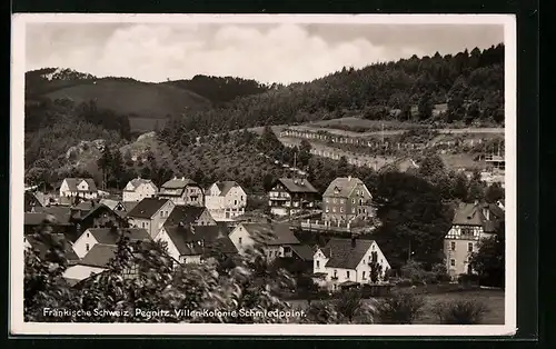 AK Pegnitz /Fränkische Schweiz, Villen-Kolonie Schmiedpoint
