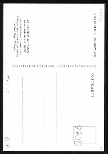 AK Villingen /Schwarzwald, Villinger Schemne, Narro, Surhebel und Morbili, Fasching