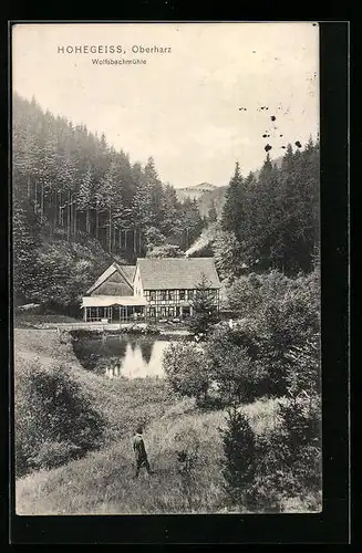 AK Hohegeiss /Oberharz, Wolfsbachmühle mit Umgebung