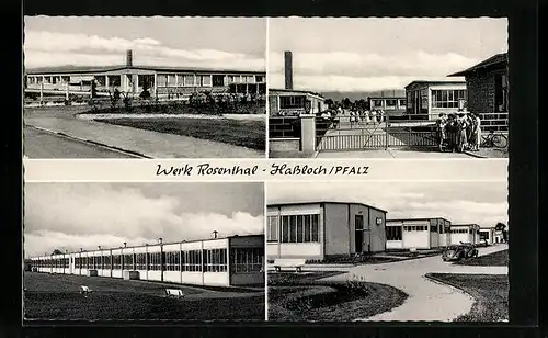 AK Hassloch /Pfalz, Werk Rosenthal