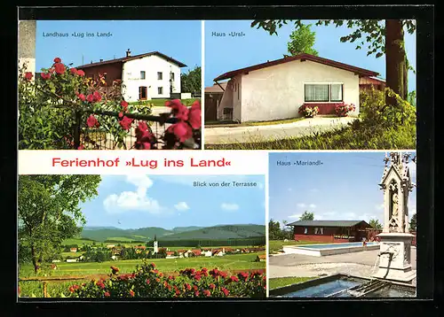 AK Luttolsberg / Wuchzenhofen, Ferienhof Lug ins Land, Fam. Anton Steinle