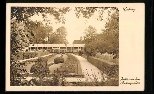 AK Coburg, Rosengarten und Gartenschau, Partie aus dem Rosengarten